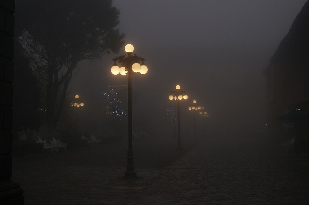 eerie night landscape
